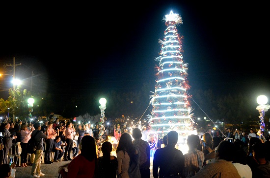 ARBOL NAVIDEO