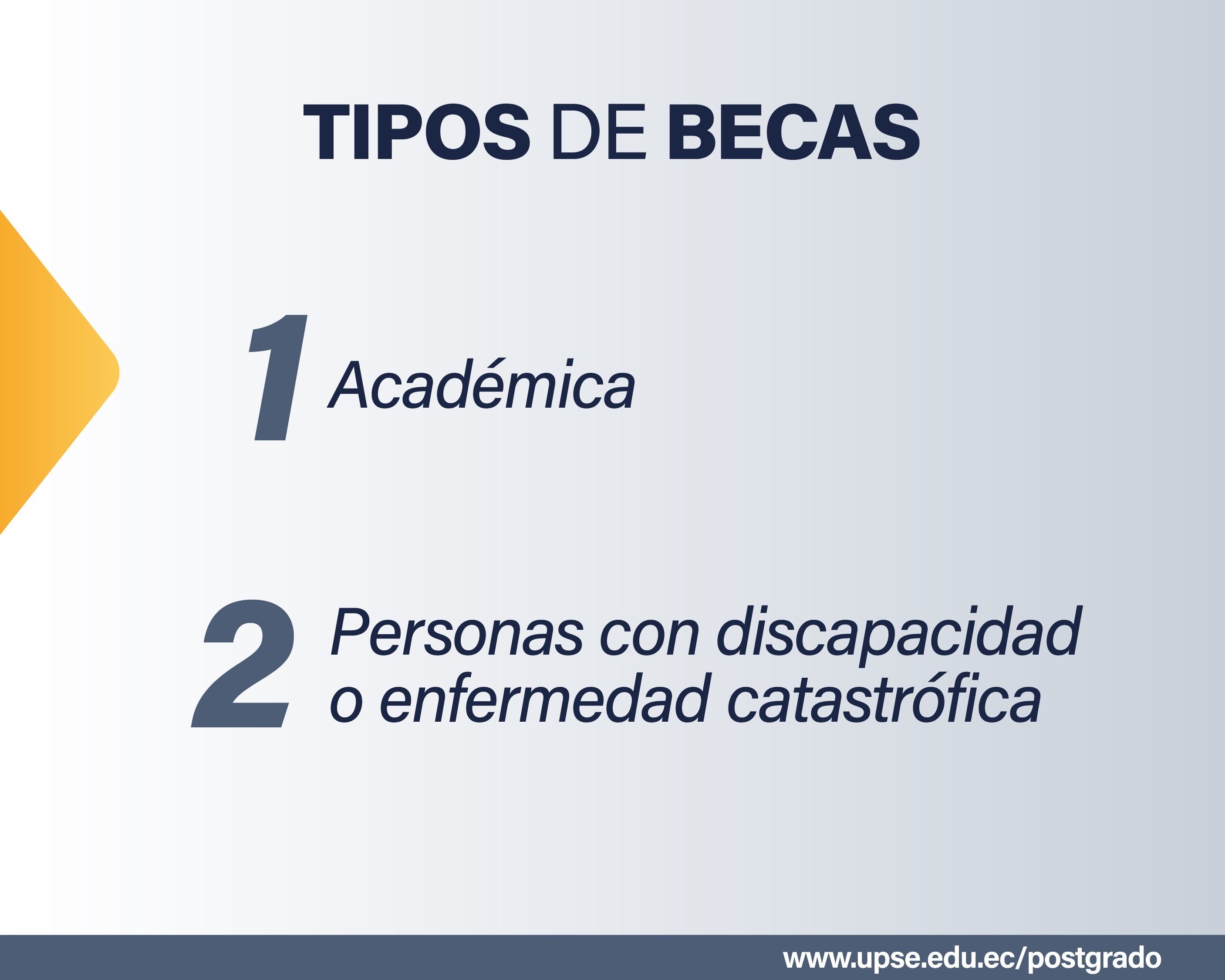 Becas de Postgrado 2025 1 Tipos de Becas