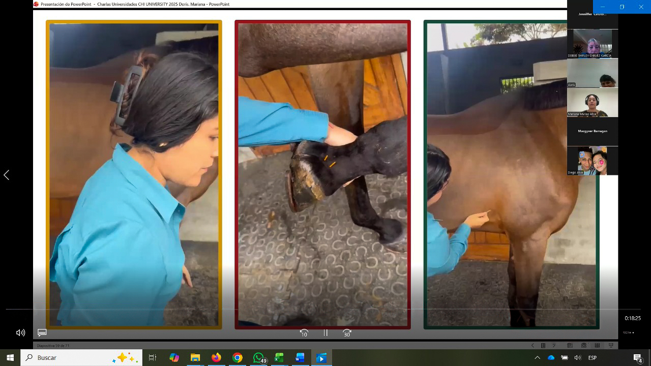 WhatsApp Image 2025 11 14 at 3.17.39 PM